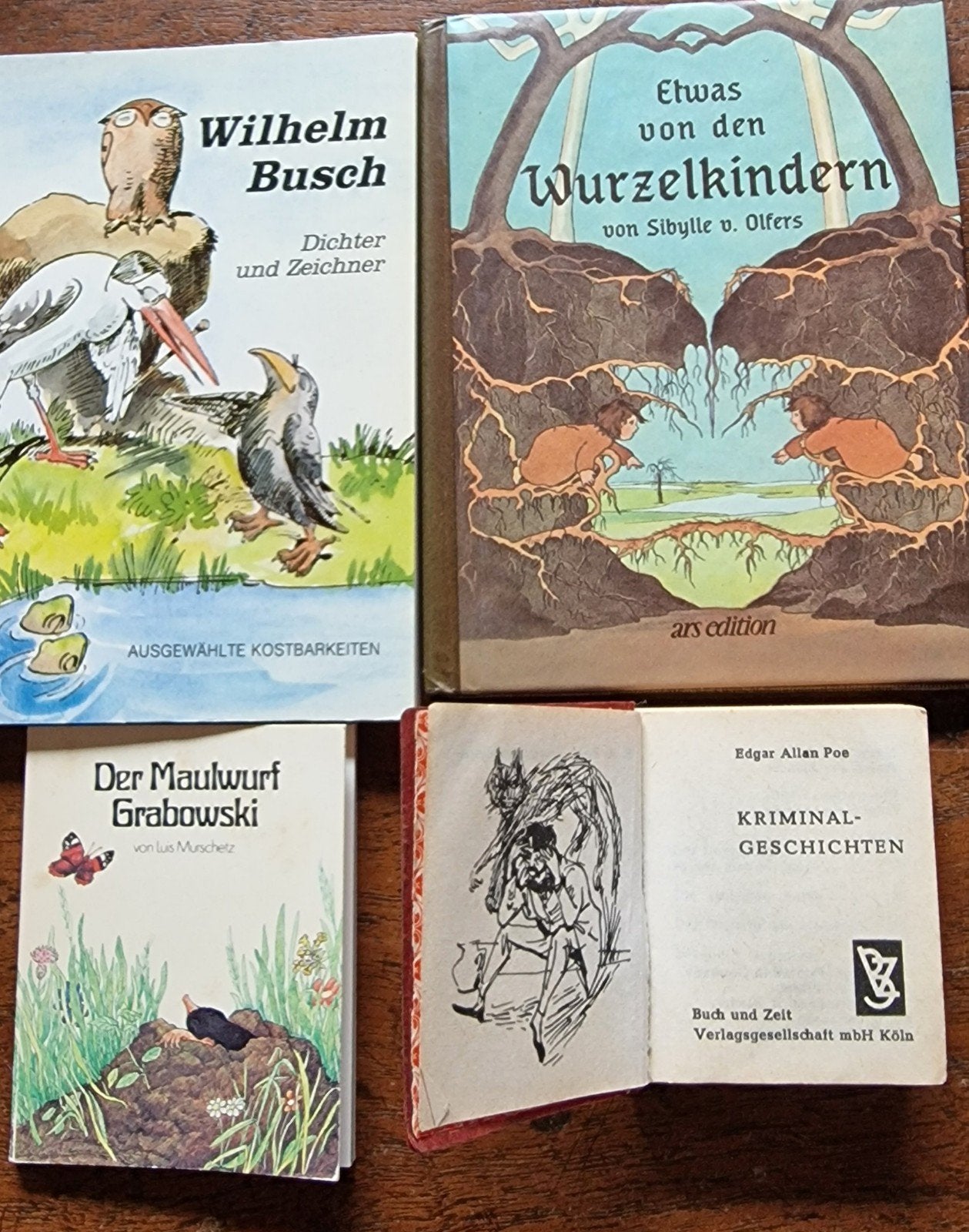 Diverse Kinderboeken en Klassiekers - 4 Stuks, Ophalen of Verzenden, Gelezen, W. Busch, Sibylle v. Olfers, Luis Murschetz, Edgar Allan Poe