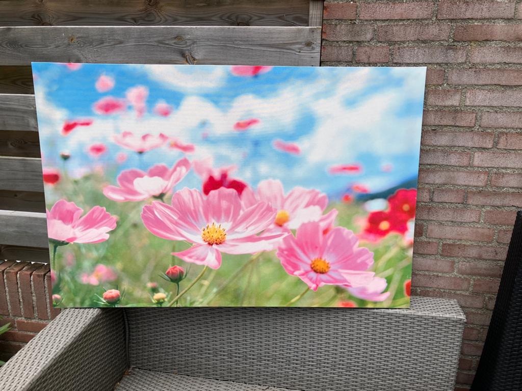 Binnenschilderij Bloemen 118 x 78, Ophalen