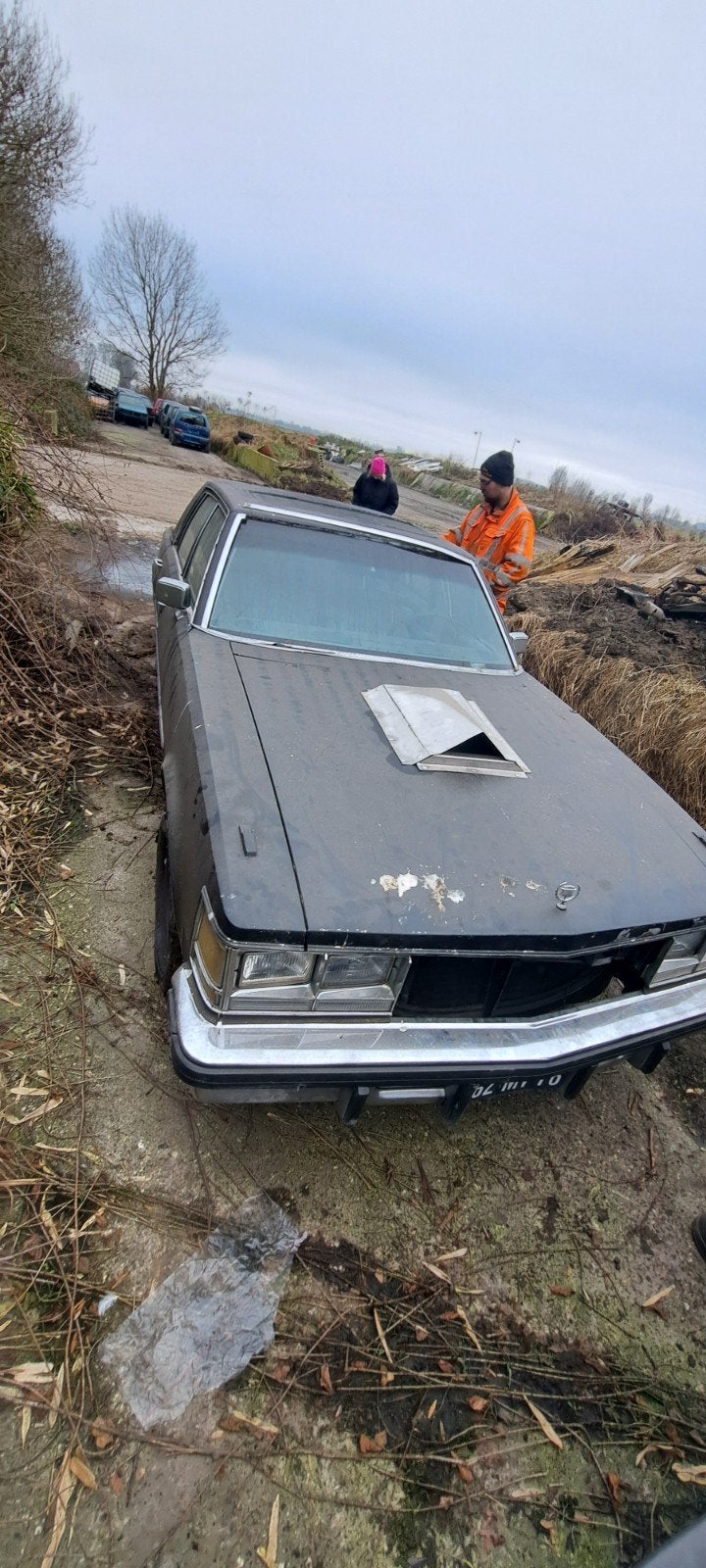 Cadillac voor onderdelen, Ophalen, Voor, Cadillac, Motorkap