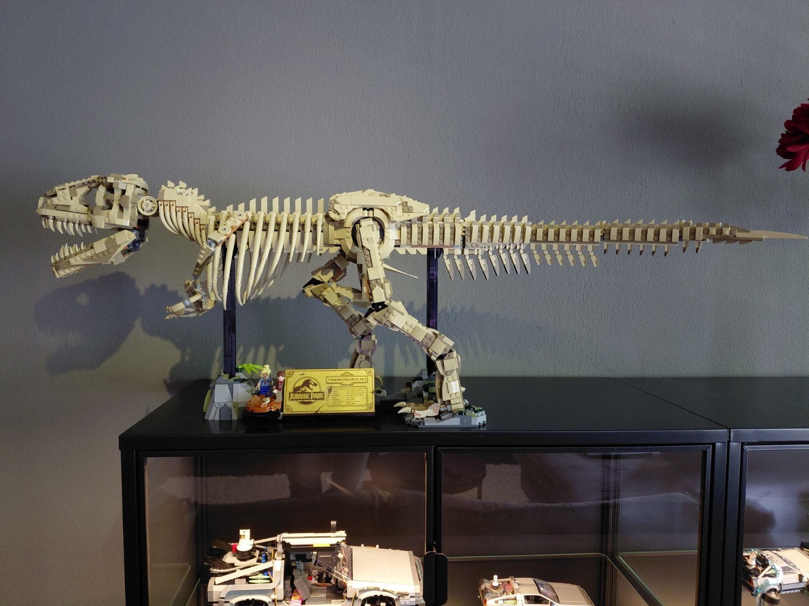 Lego t-rex skeleton, Eén persoon