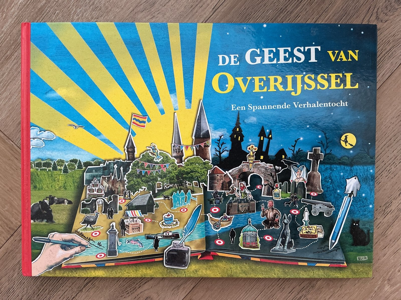 De geest van overijssel, Boeken, Ophalen of Verzenden, Zo goed als nieuw