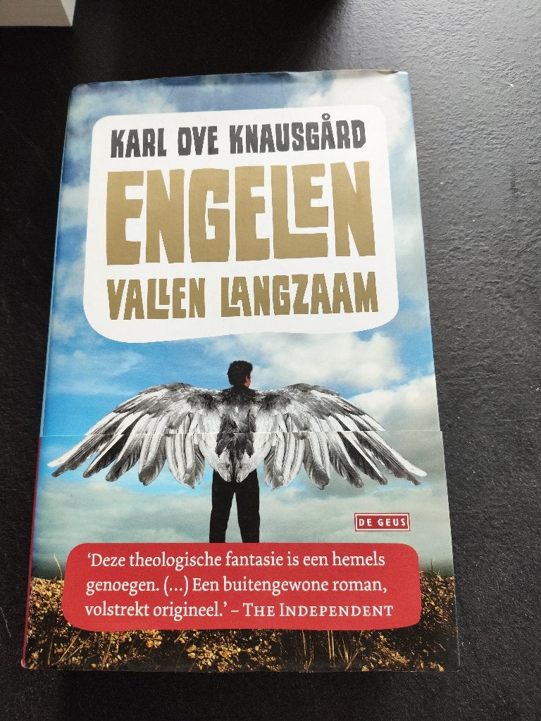 Karl Ove Knausgard Engelen vallen langzaam in zeer nette st, Boeken, Ophalen of Verzenden, Zo goed als nieuw