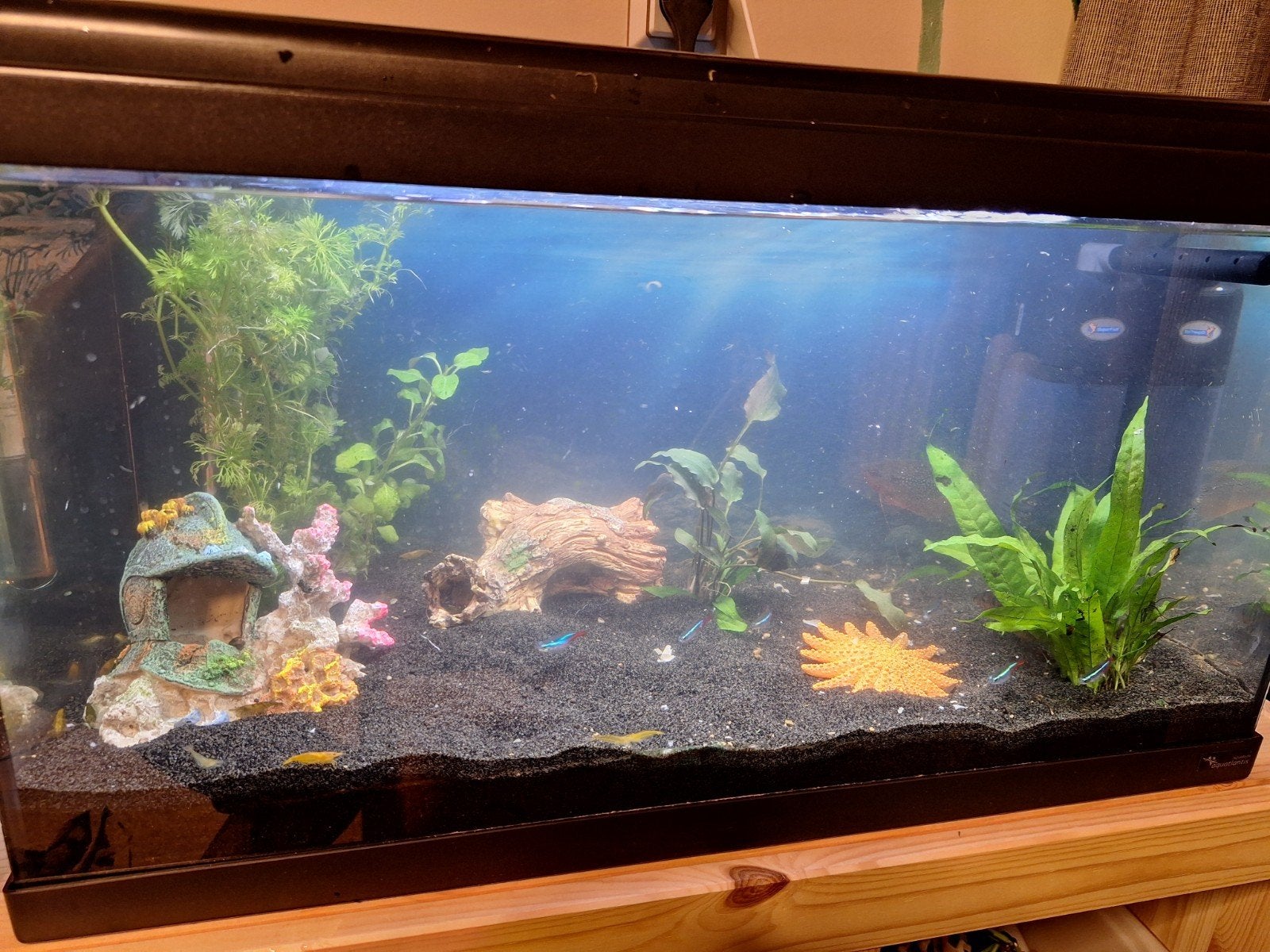 Aquarium 60x30x35cm, Ophalen, Gebruikt, Aquatlantis, Leeg aquarium