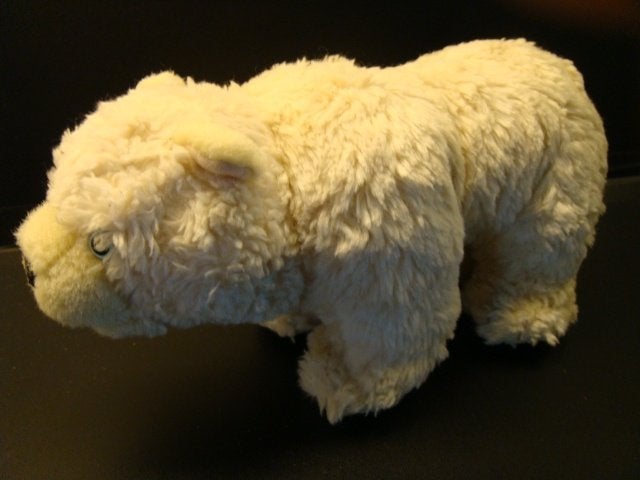 ANNA CLUB PLUSH WERELDNATUURFONDS WWF IJSBEER, Ophalen of Verzenden, Nieuw, Overige typen