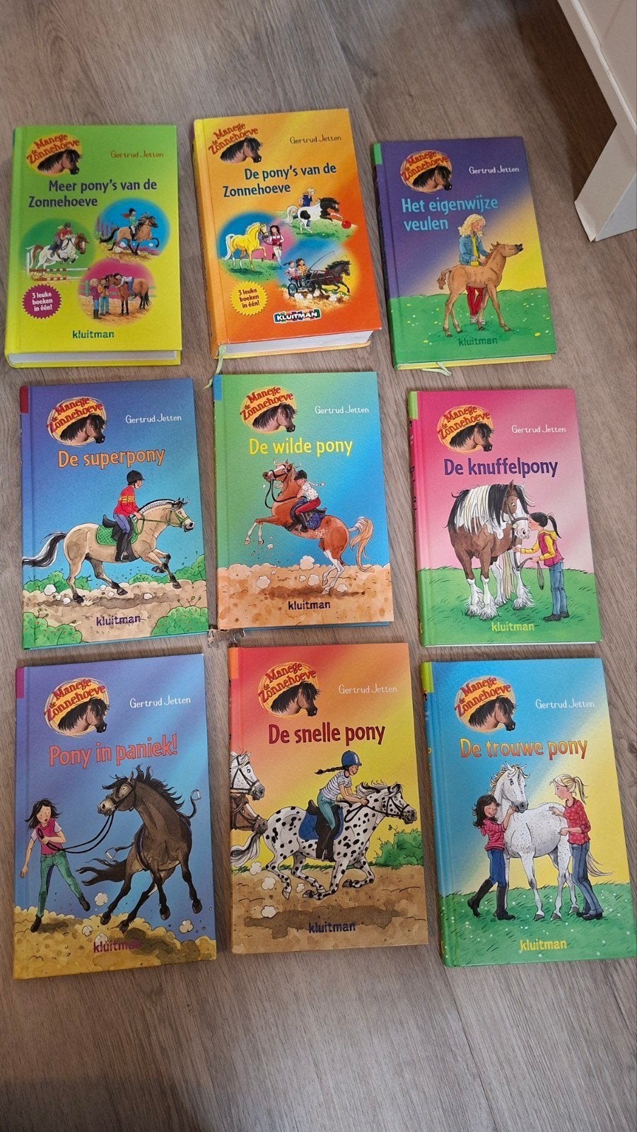 De Manege Zonnehoeve boeken - 9-delige set 5 euro per boek, Ophalen of Verzenden, Gelezen, Gertrud Jetten, Fictie algemeen