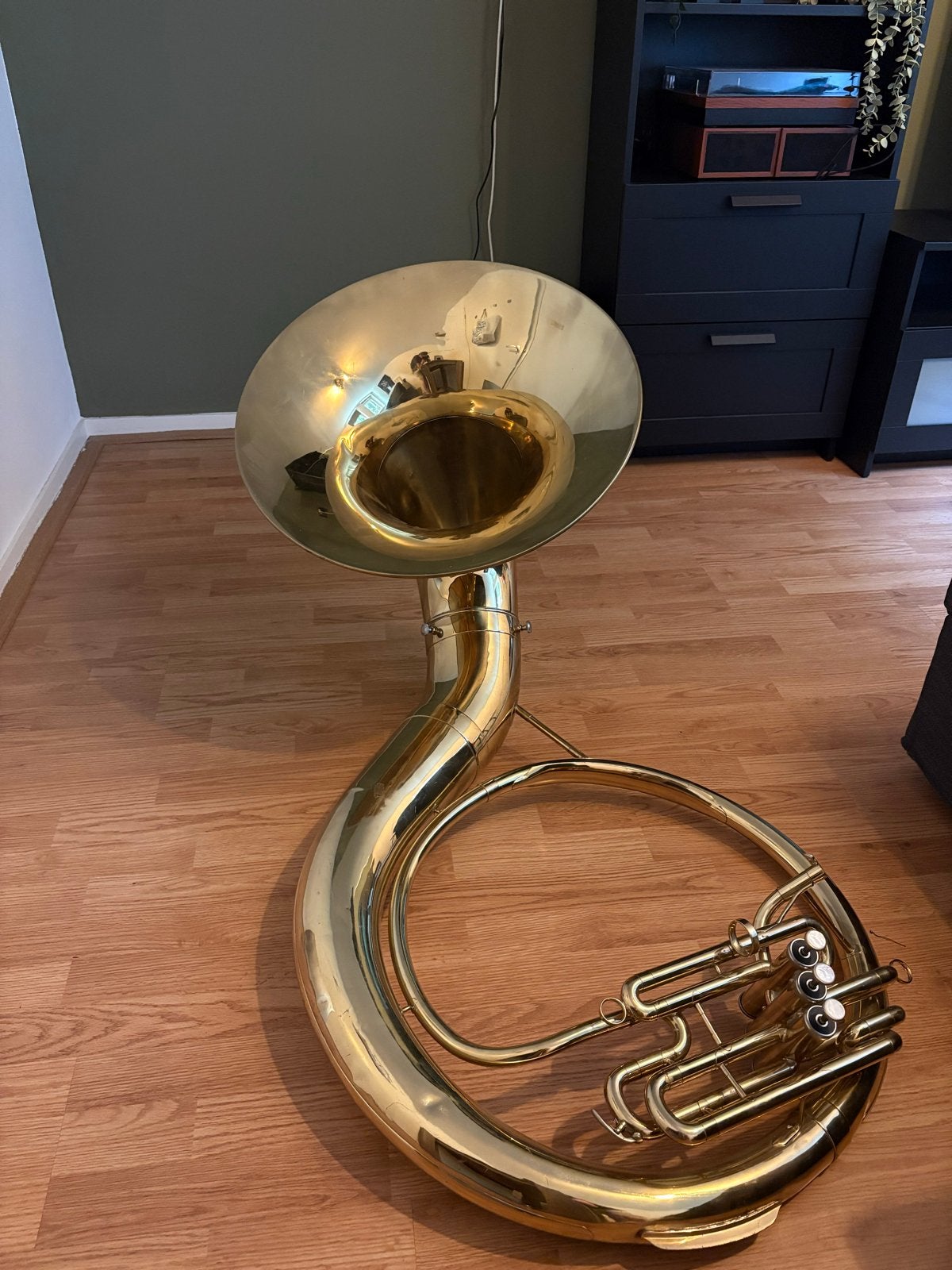 Sousafoon Eb Weril J770, Muziek en Instrumenten, Blaasinstrumenten | Tuba's, Ophalen, Gebruikt, Es-tuba