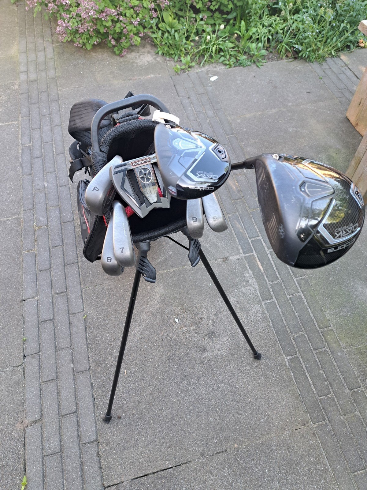 Complete Golfset met Cobra Clubs en Big Max Golftas, Ophalen, Gebruikt, Set, Overige merken
