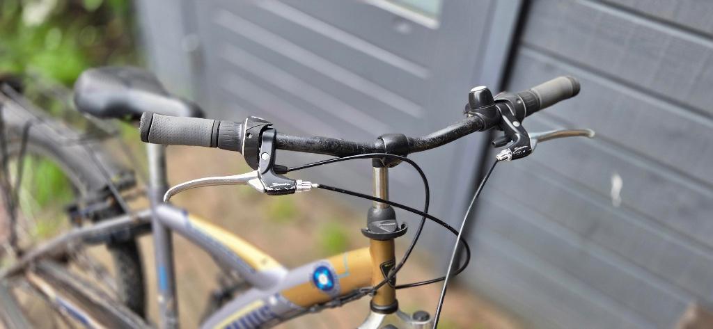 Batavus Snake 24inch - Grijs, Ophalen, Terugtraprem, Versnellingen, Batavus