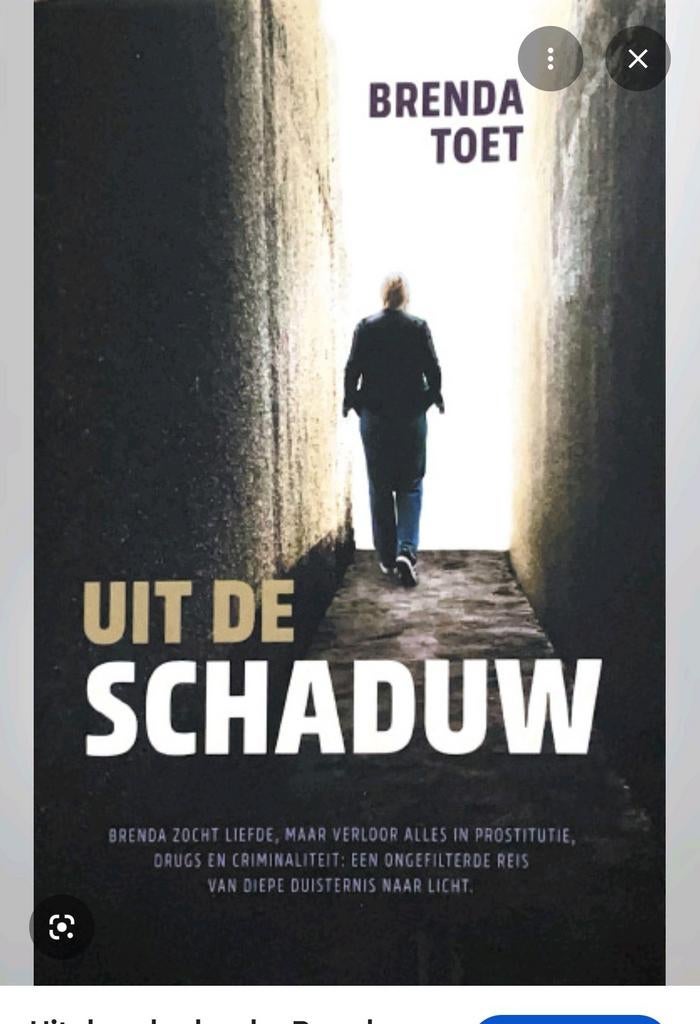 Brenda Toet - Uit de Schaduw/gratis verzending, Ophalen of Verzenden