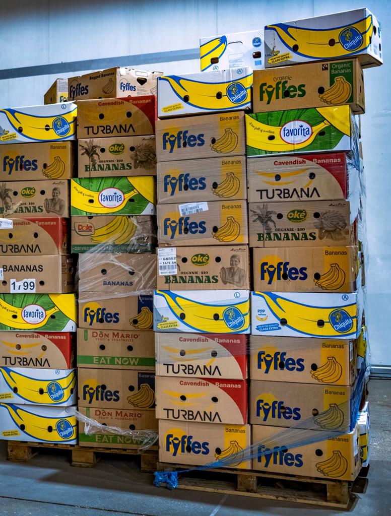 GEZOCHT - Verhuis/bananendozen, Ophalen, Doos, Zo goed als nieuw, Minder dan 40 cm