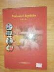boek methodisch begeleiden saw 3 & 4, Boeken, Studieboeken en Cursussen, Ophalen of Verzenden, Beta, Zo goed als nieuw, HBO