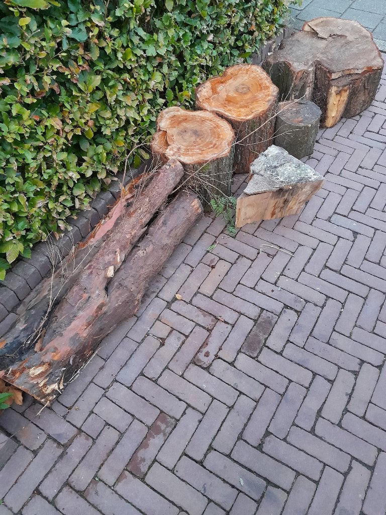 Kachelhout, Minder dan 3 m³, Ophalen of Verzenden, Overige houtsoorten, Blokken