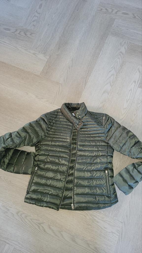 Jasje Mango xs, Ophalen of Verzenden, Nieuw, Maat 34 (XS) of kleiner, Groen