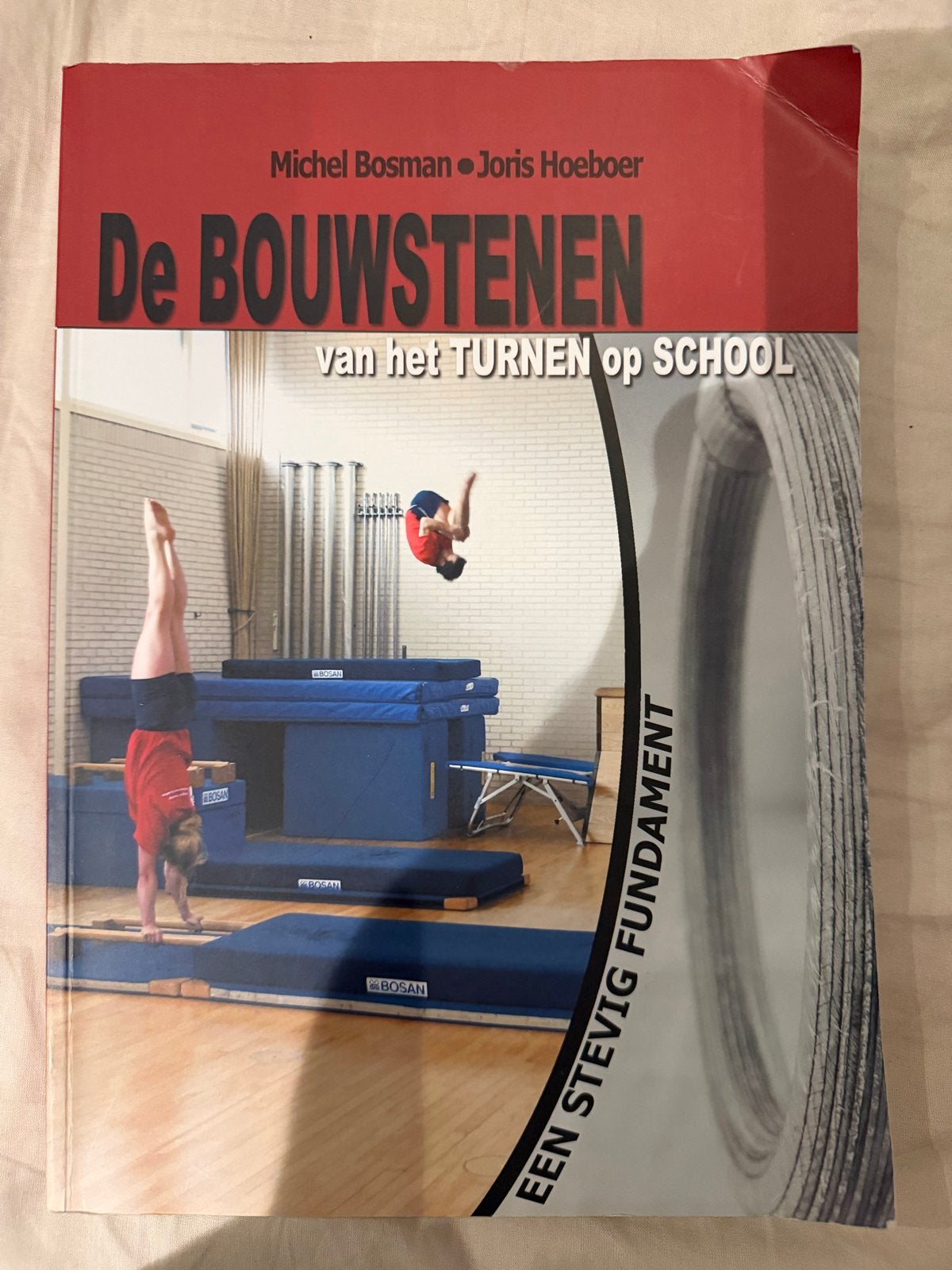 De Bouwstenen van het Turnen op School - Michel Bosman, Boeken, Studieboeken en Cursussen, Ophalen of Verzenden, Beta, Gelezen