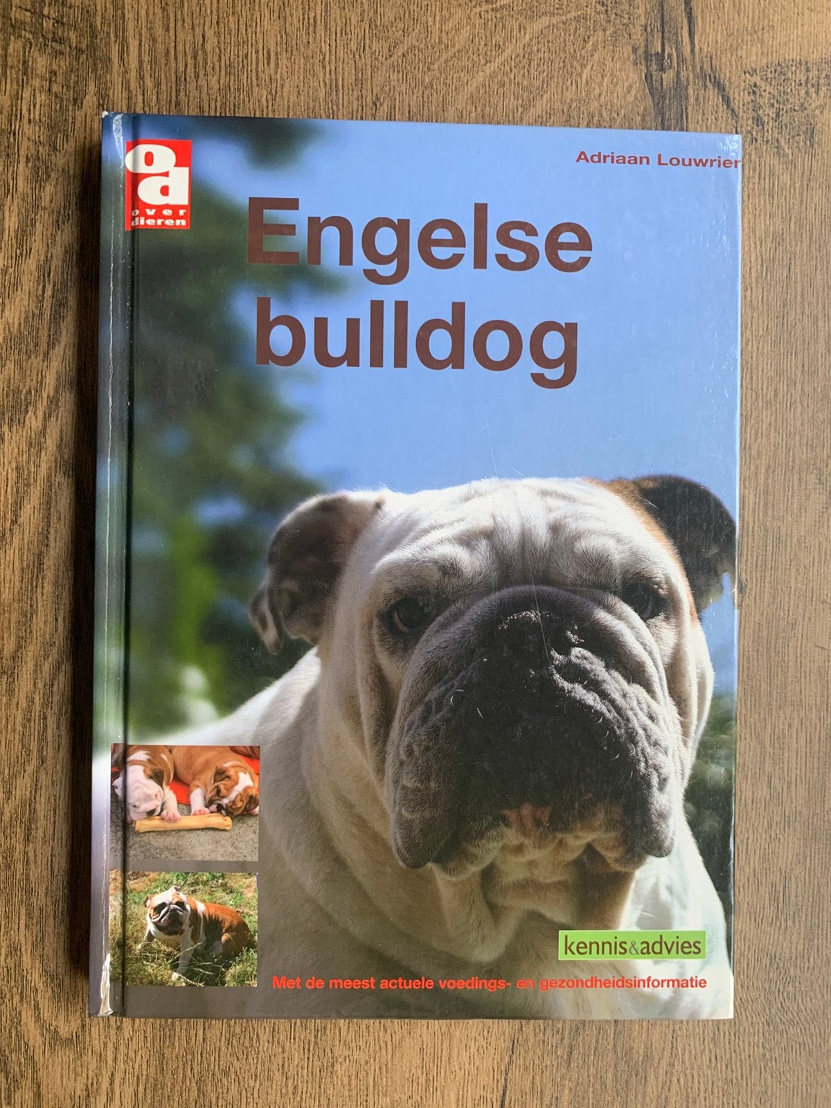 Engelse Bulldog/ Adriaan Louwrier, Boeken, Ophalen of Verzenden, Zo goed als nieuw, Honden, Adriaan Louwrier