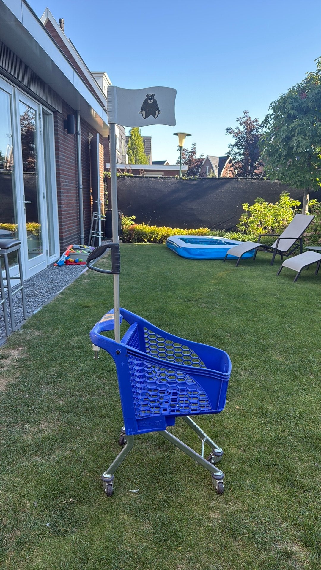 Echt winkelwagentje, Ophalen, Gebruikt, Kunststof