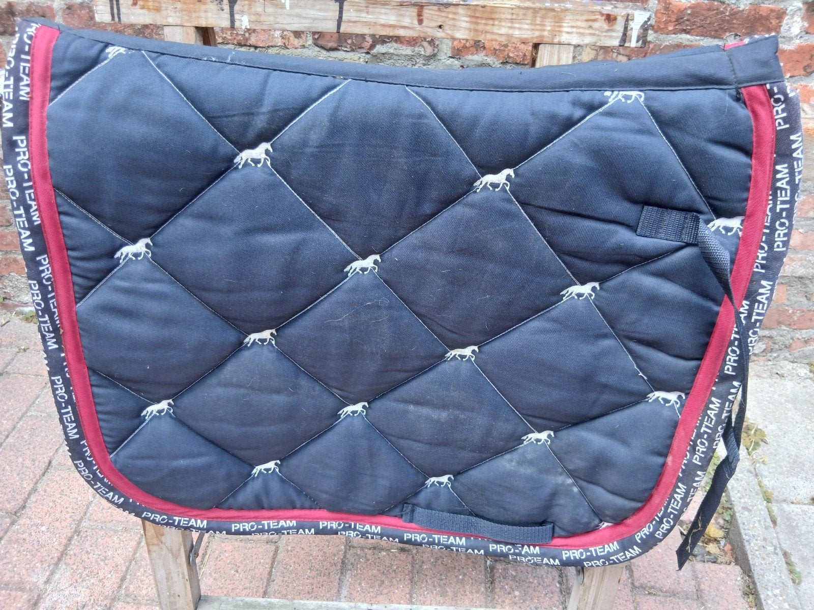 Te koop dekjes maat pony en een outdoordeken., Ophalen, Gebruikt, Dressuur
