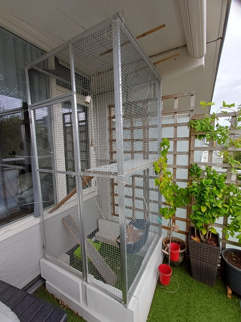 Kattenkooi, Ophalen, Gebruikt