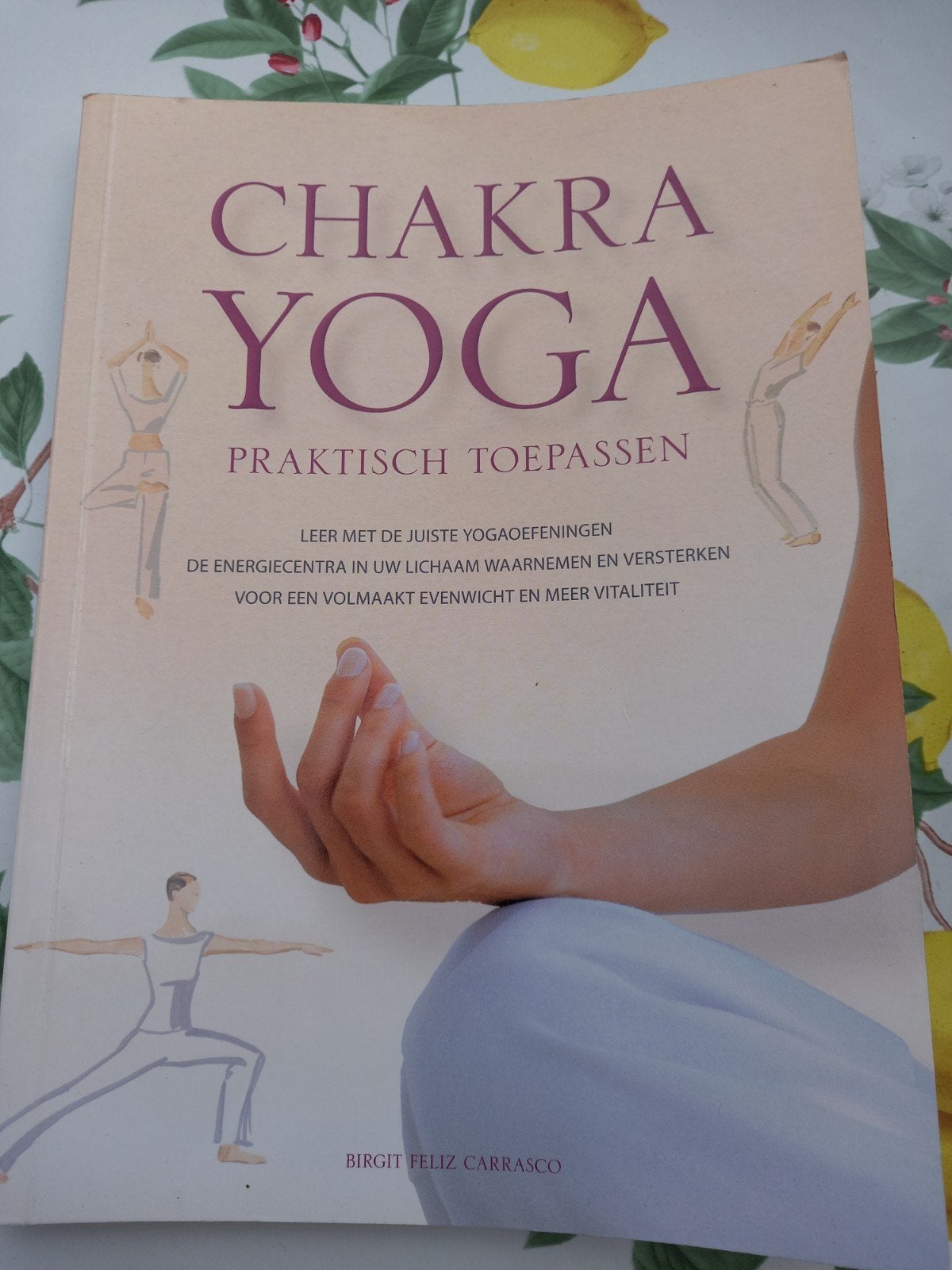 Chakra Yoga: Praktisch Toepassen - Birgit Feliz Carrasco m3, Boeken, Gelezen, Meditatie of Yoga, Ophalen of Verzenden, Birgit Feliz Carrasco