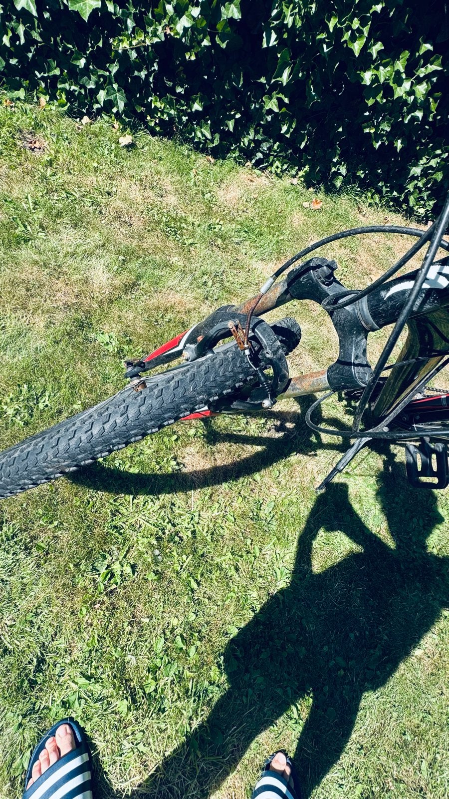 Specialized mountainbike - 26 inch banden, Gebruikt, Ophalen, Overige merken, Heren