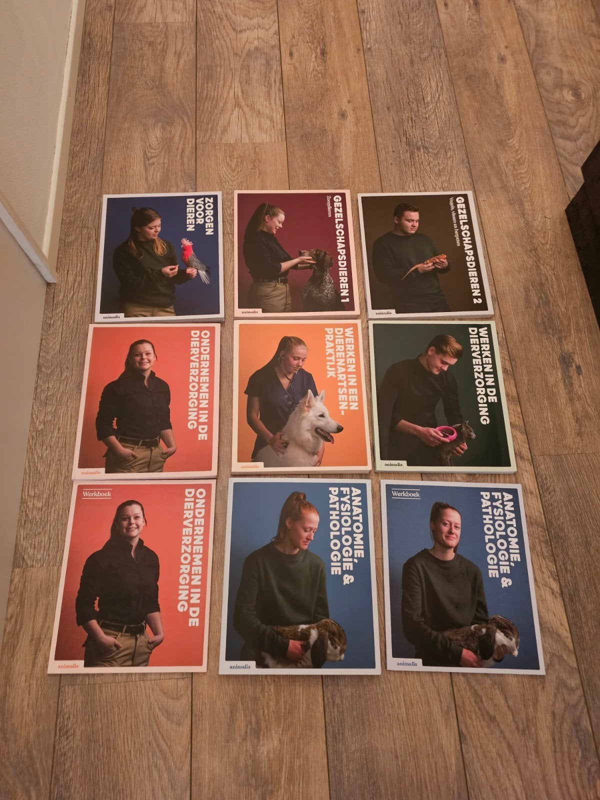 Complete set studieboeken Animalis  mbo dierverzorging, Ophalen of Verzenden, Nieuw, Overige niveaus