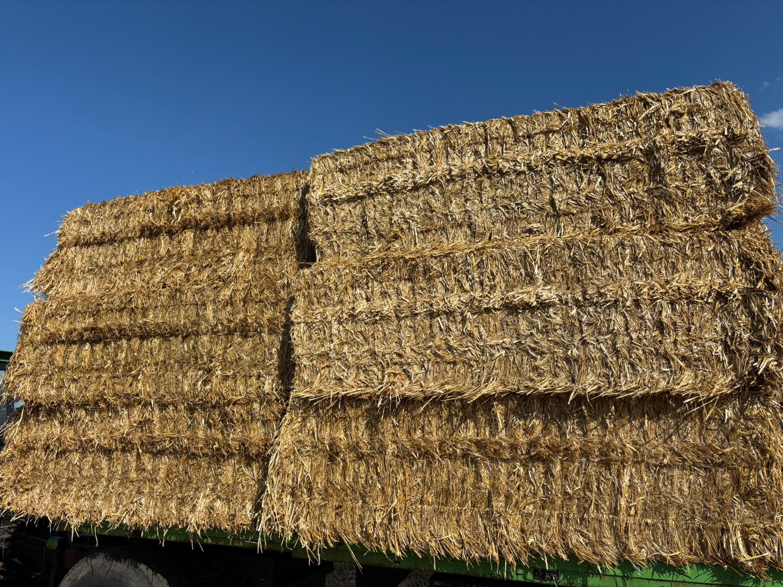 Tarwe stro 2026, Ophalen of Verzenden, Zo goed als nieuw, 250 cm of meer, Planken