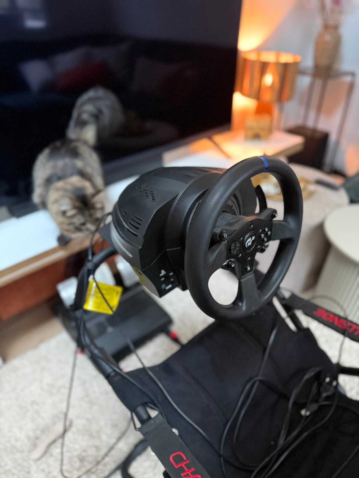 Playseat Evolution + Thrustmaster T300 RS GT + 3 pedalen, Ophalen, Zo goed als nieuw
