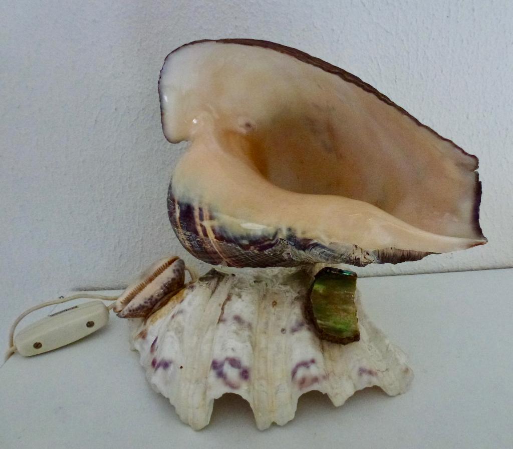 Vintage Prachtige Abalone schelp als lamp., Verzenden, Schelp(en)