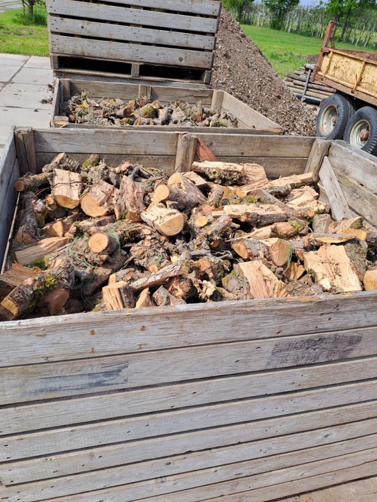 6 kisten gedroogd peren hout., 3 tot 6 m³, Ophalen of Verzenden