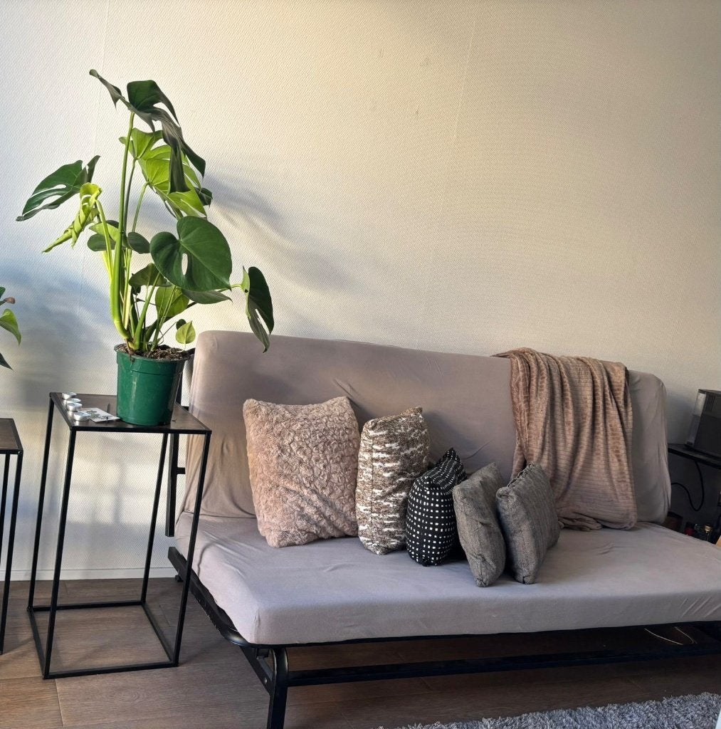 Foto 2 van Grijze slaapbank / futon met zwart metalen frame
