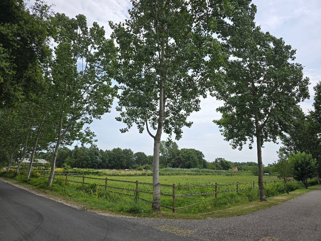 Te huur: Paardenweide 5300 m2 te Schijndel (zie foto's), Dieren en Toebehoren, Weidegang, 4 paarden of pony's of meer