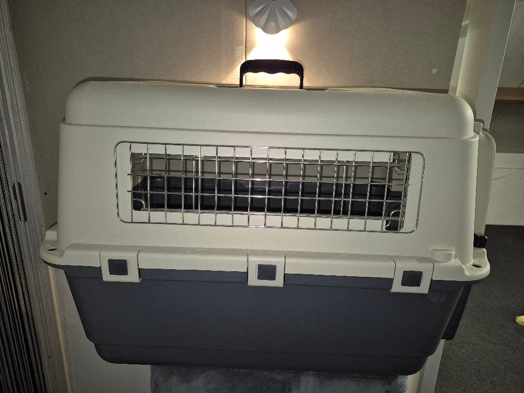 Transport box hond, Ophalen, Nieuw