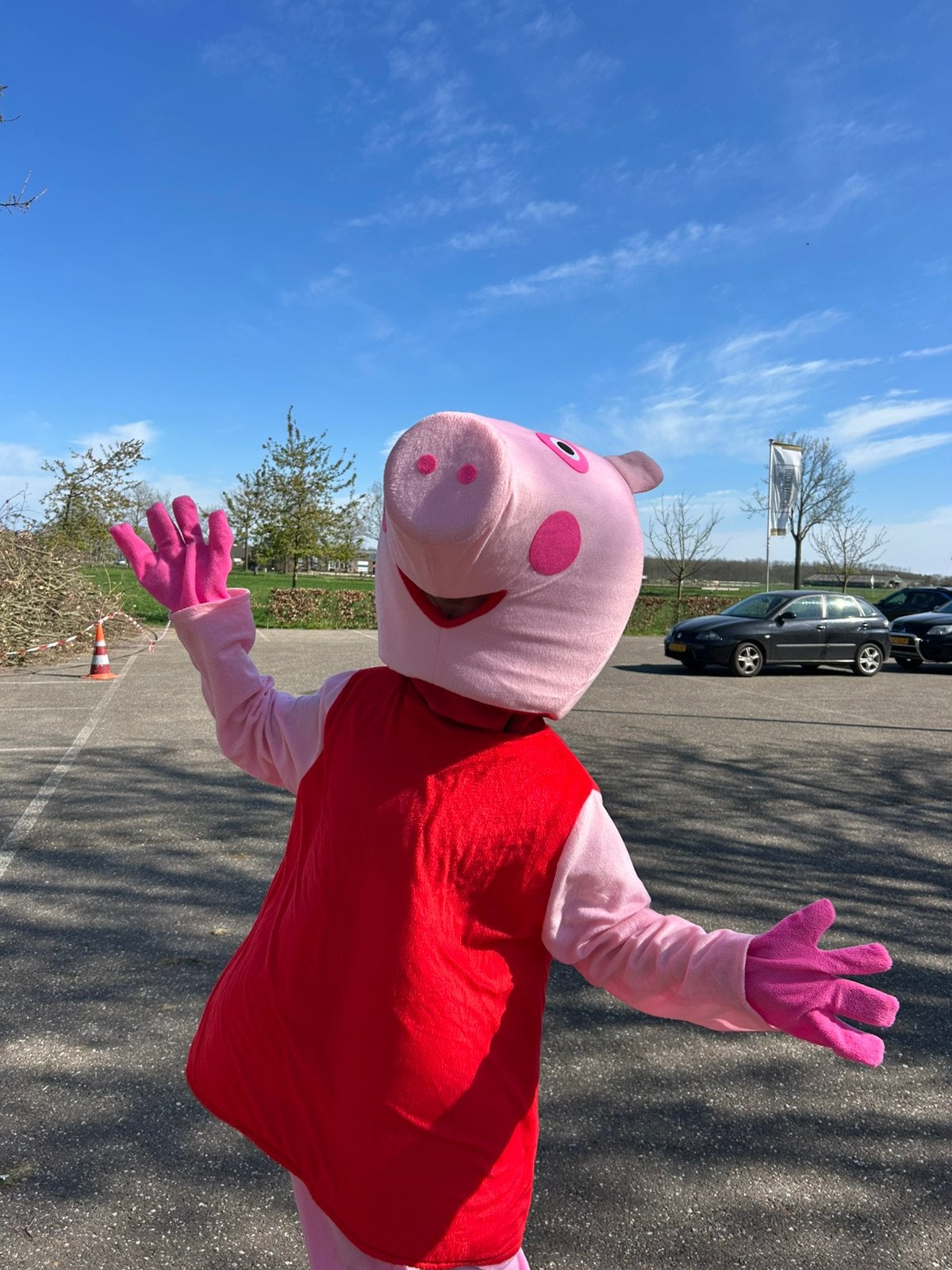 Peppa pig mascotte te huur, Ophalen, Zo goed als nieuw