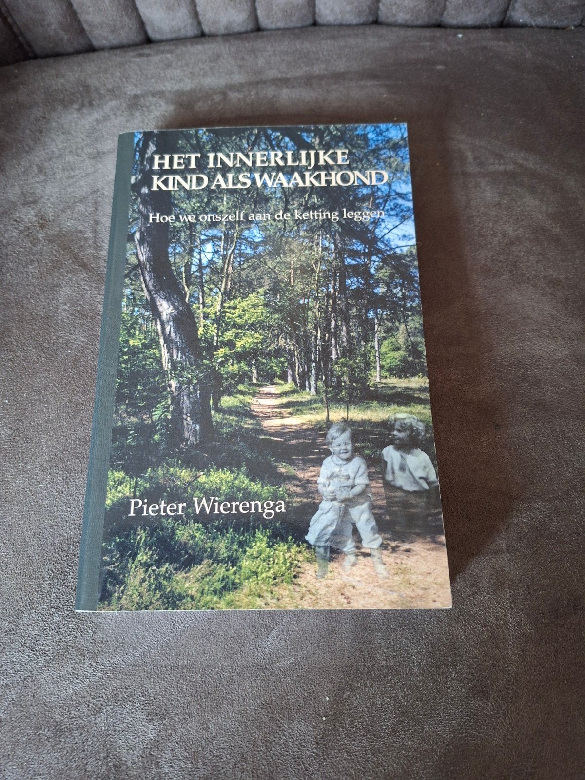 Het Innerlijke Kind als Waakhond - Pieter Wierenga, Ophalen of Verzenden, Gelezen, Cognitieve psychologie, Pieter Wierenga