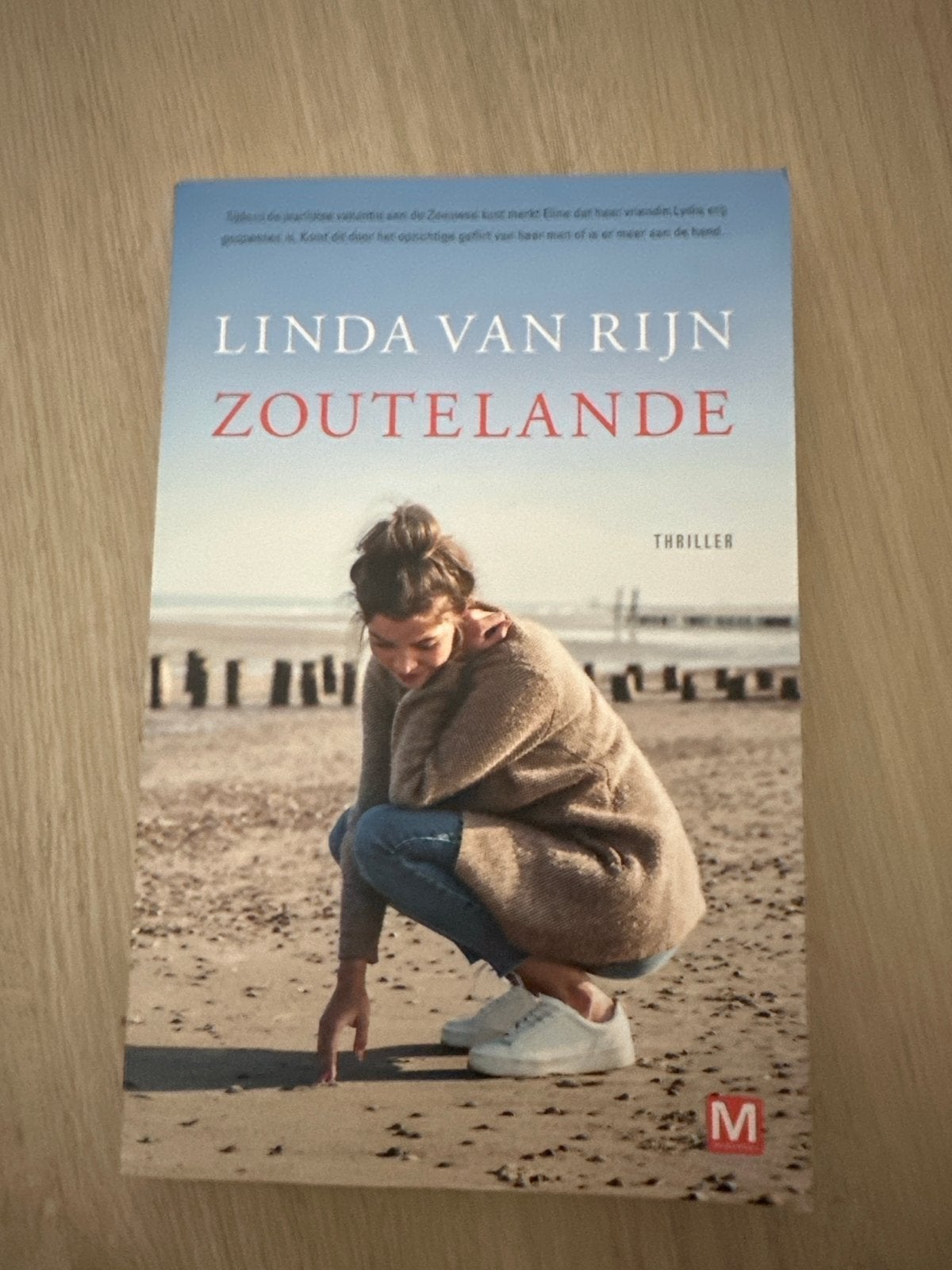 Linda van Rijn - Zoutelande (Thriller), Boeken, Ophalen, Zo goed als nieuw, Nederland
