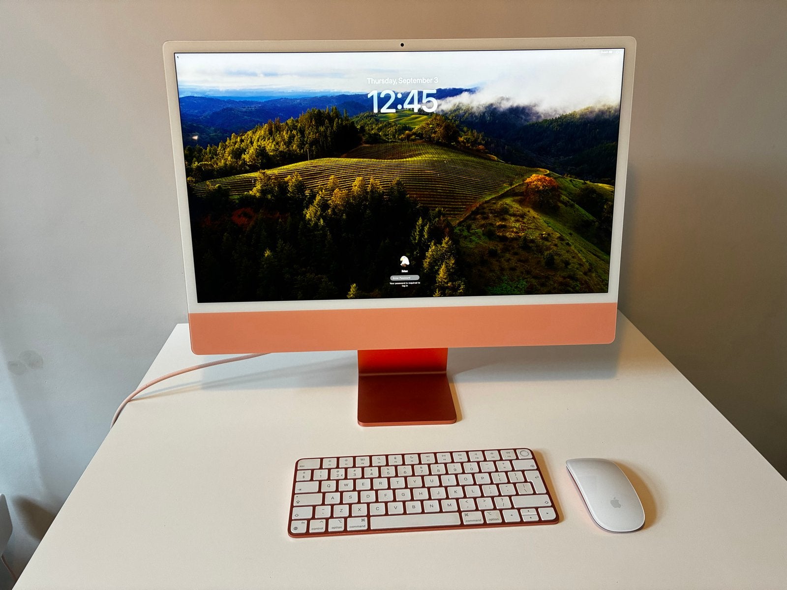 Oranje Apple iMac 24 inch - Goede staat, Computers en Software, Apple Desktops, Ophalen, Gebruikt, 8 GB, IMac