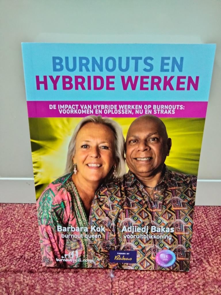 Burnouts en hybride werken, Boeken, Ophalen of Verzenden, Zo goed als nieuw