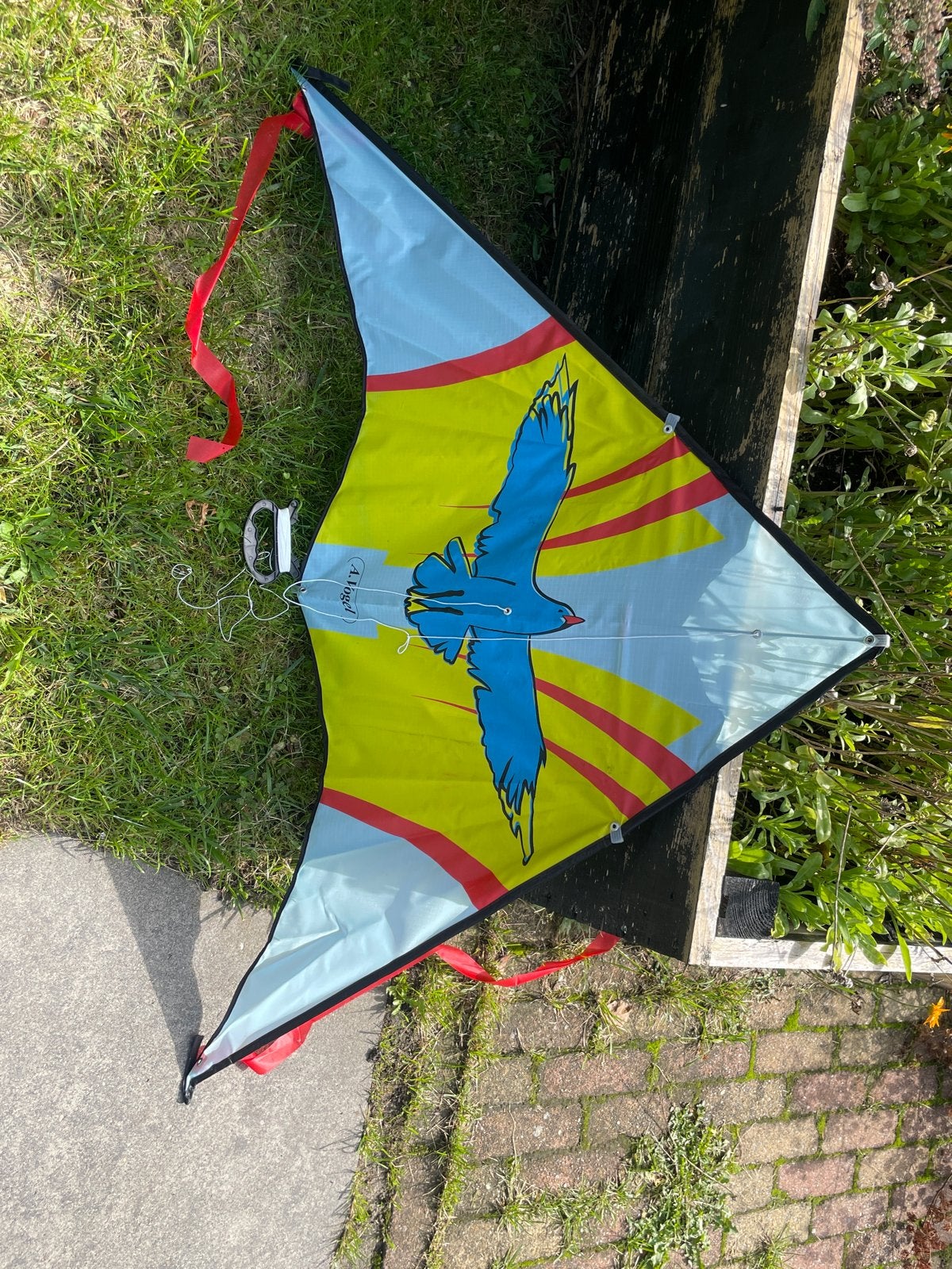 Eenlijns vlieger met vogelprint, Sport en Fitness, Ophalen of Verzenden, Gebruikt, Eenlijns, Vlieger
