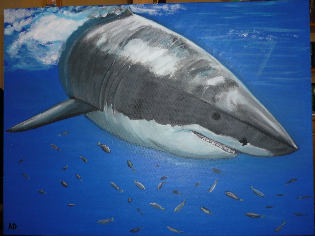 Haai, Acrylverf, Handgeschilderd, Ophalen of Verzenden, Dieren