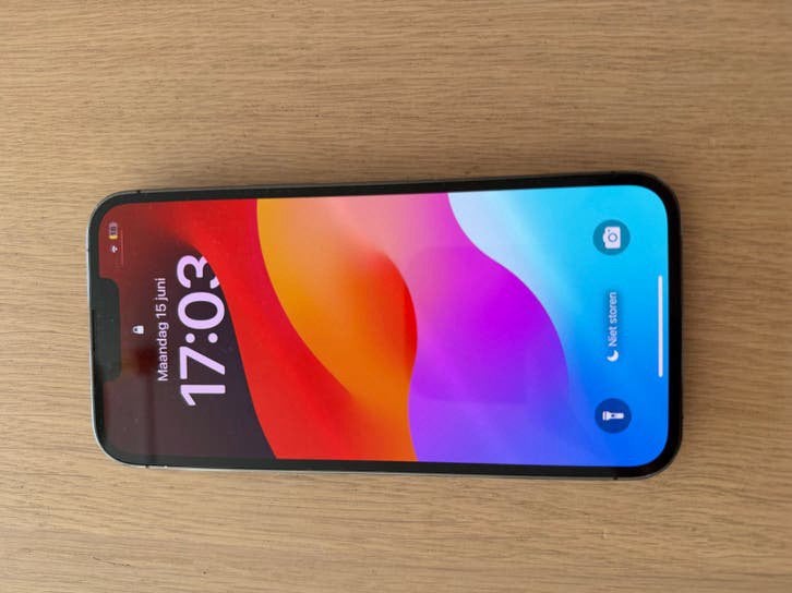 iPhone 13 Pro, Ophalen of Verzenden, IPhone 13 Pro, Zonder simlock, Grijs