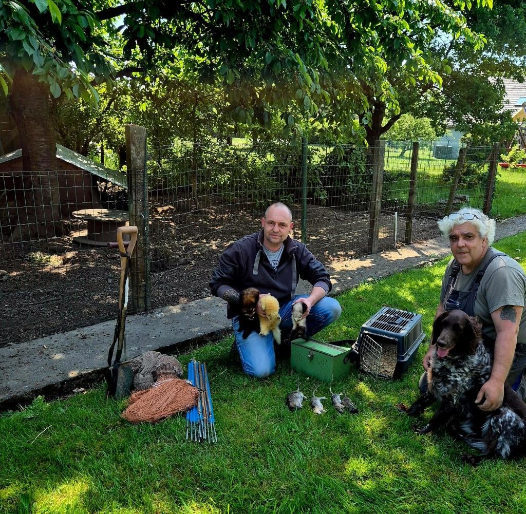 Ecologische Rattenbestrijding ratten bestrijding, Ophalen of Verzenden, Gebruikt