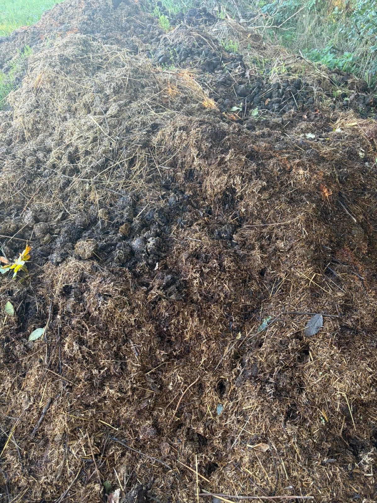 Gratis! Paardenmest met vlas - zelf scheppen & ophalen, Ophalen, Tuinaarde