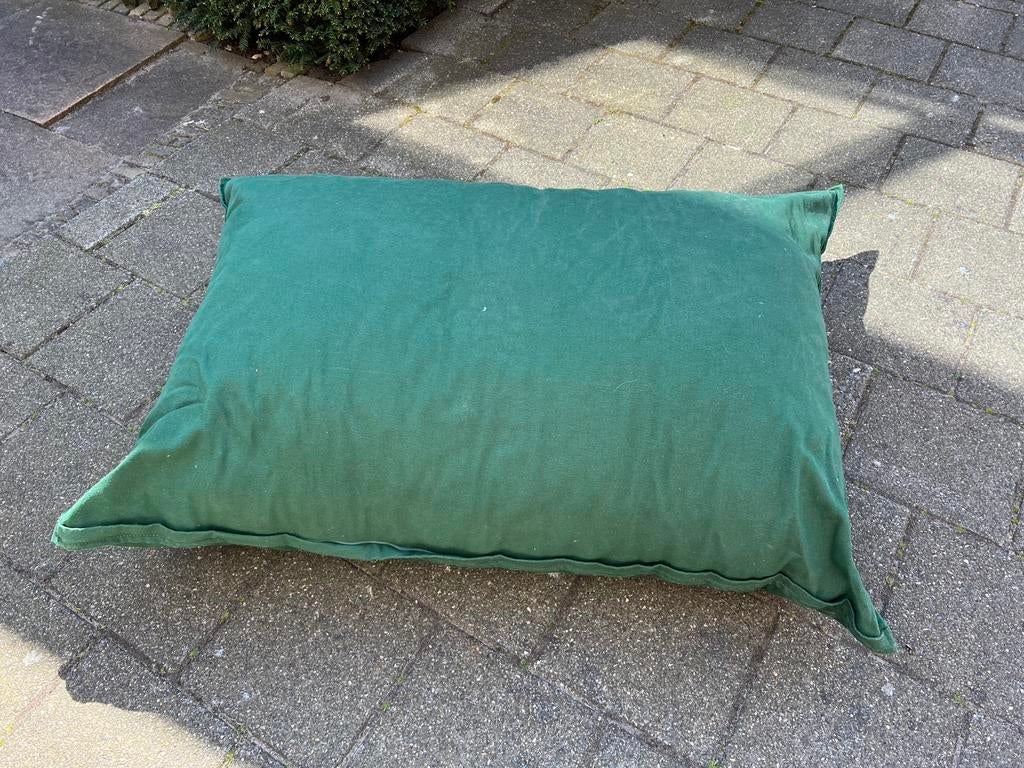 Groot kussen kleur groen 120 cm bij 80 cm, Ophalen of Verzenden, Zo goed als nieuw, Groen