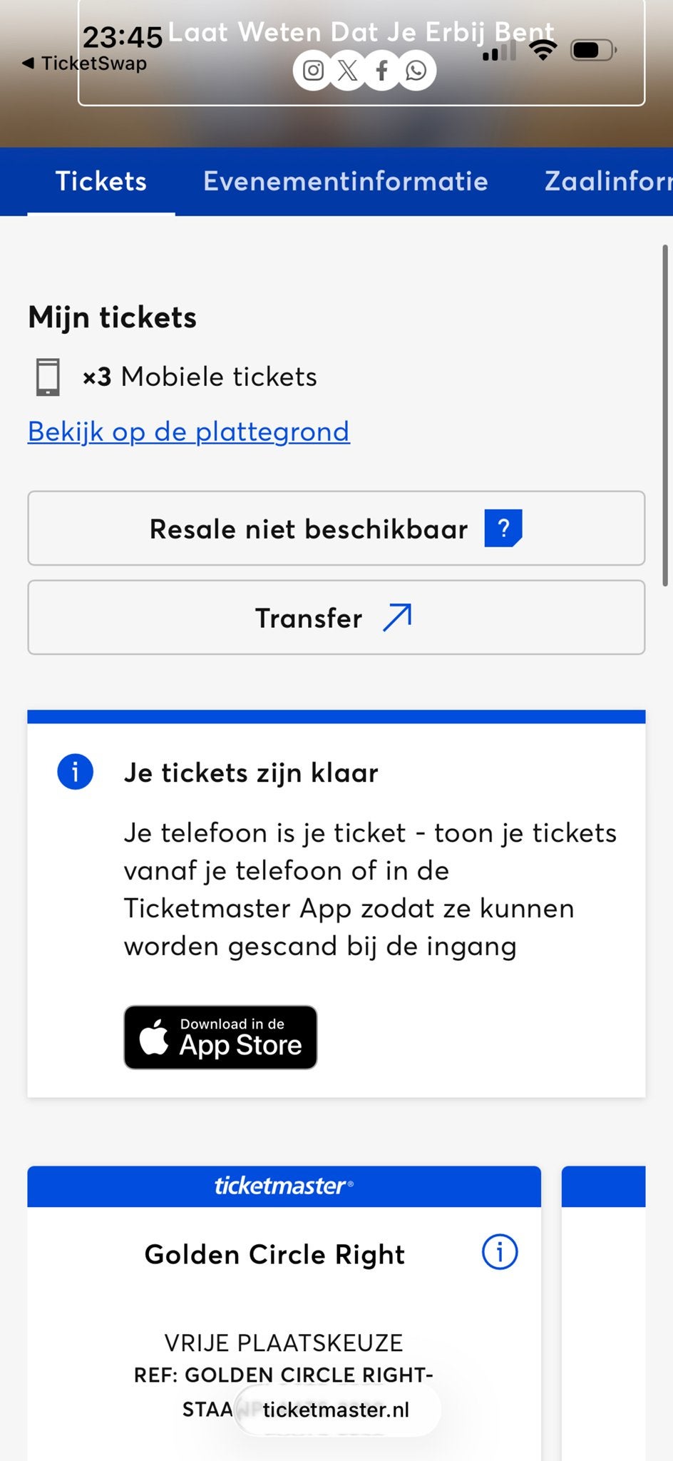 1 bad bunny golden circle right, Eén persoon, Juni