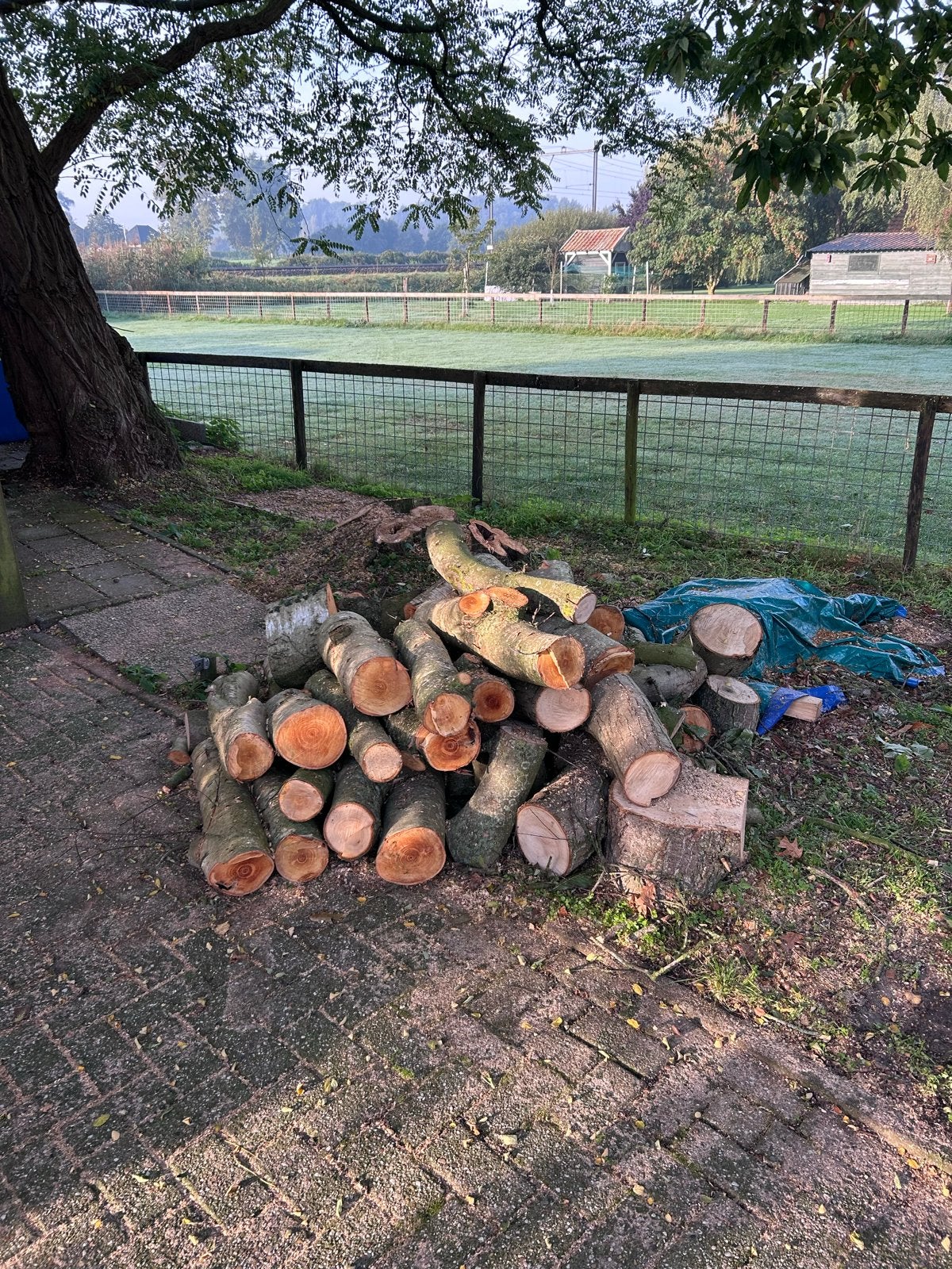 1 kuub Berken haardhout, Minder dan 3 m³, Ophalen, Berkenhout, Blokken