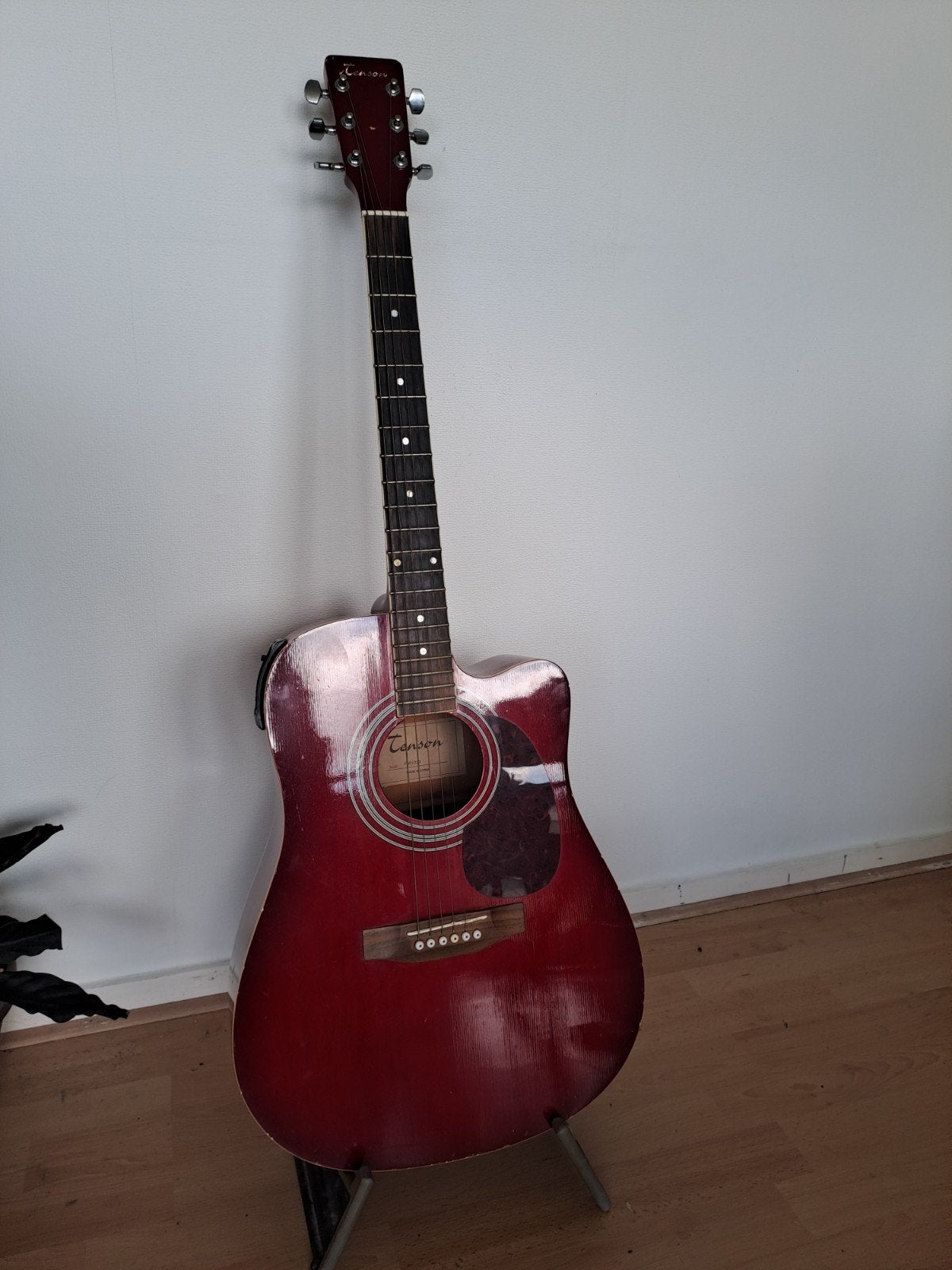 Tenson Gitaar met Gewa Tas, Stemapparaat en Plectrums, Ophalen, Klassieke of Spaanse gitaar