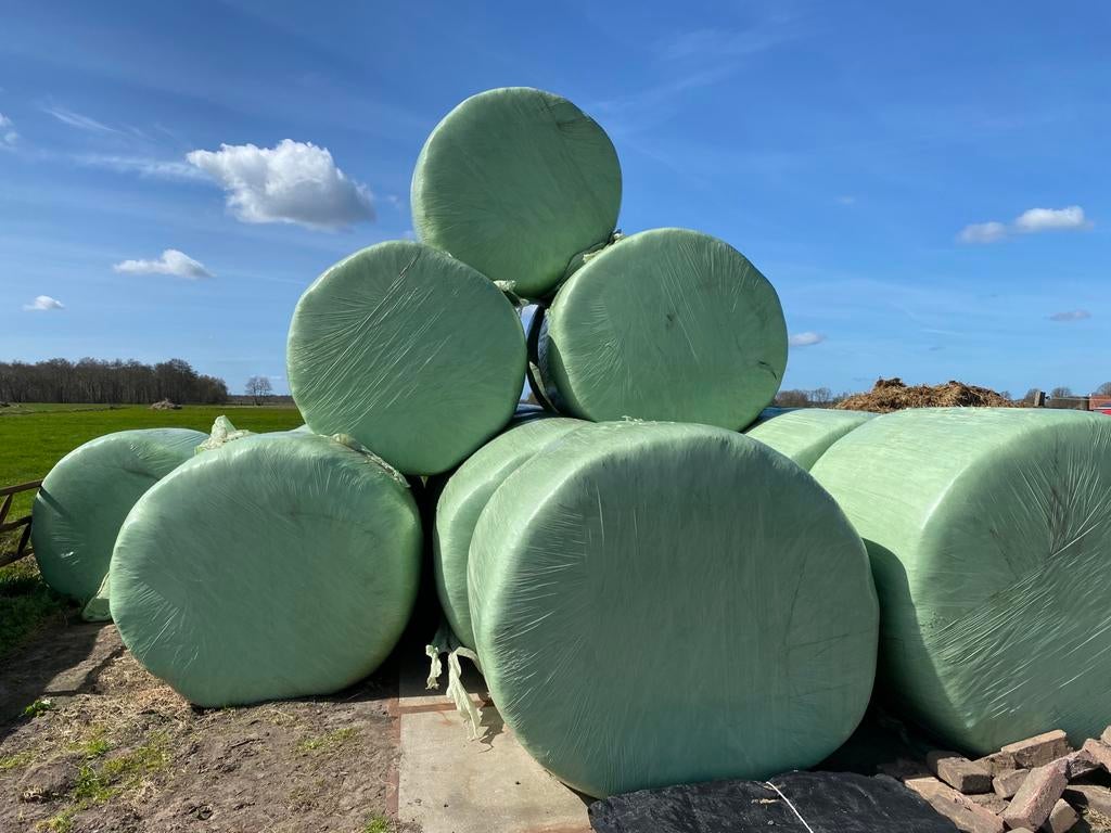 Mooi droog hooi in balen te koop., Dieren en Toebehoren, Dierenvoeding, Ophalen of Verzenden, Vee