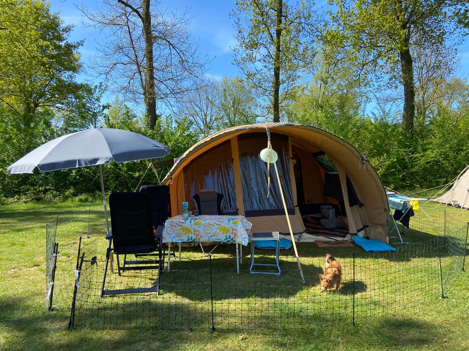 Cabanon Malawi 2.0 2024 voortent, basicluifel, achtertent XL, Ophalen, Meerkleurig, Cabanon, Tot en met 4