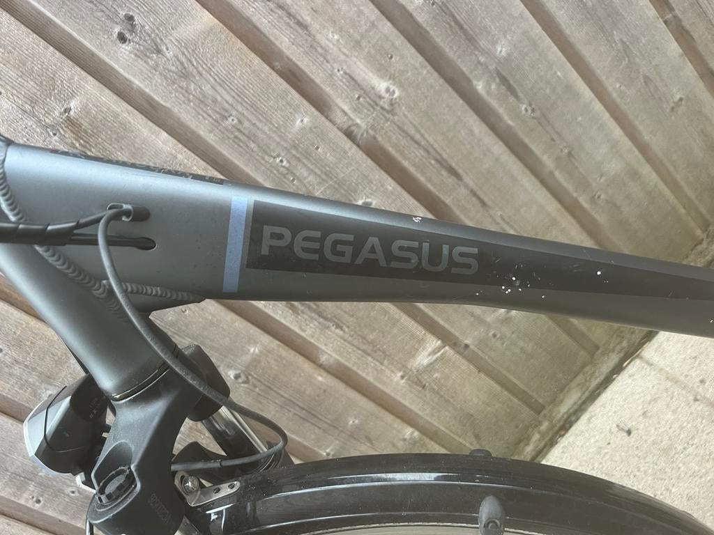 Pegasus elektrische fiets, Ophalen, Gebruikt, 50 km per accu of meer, Overige merken