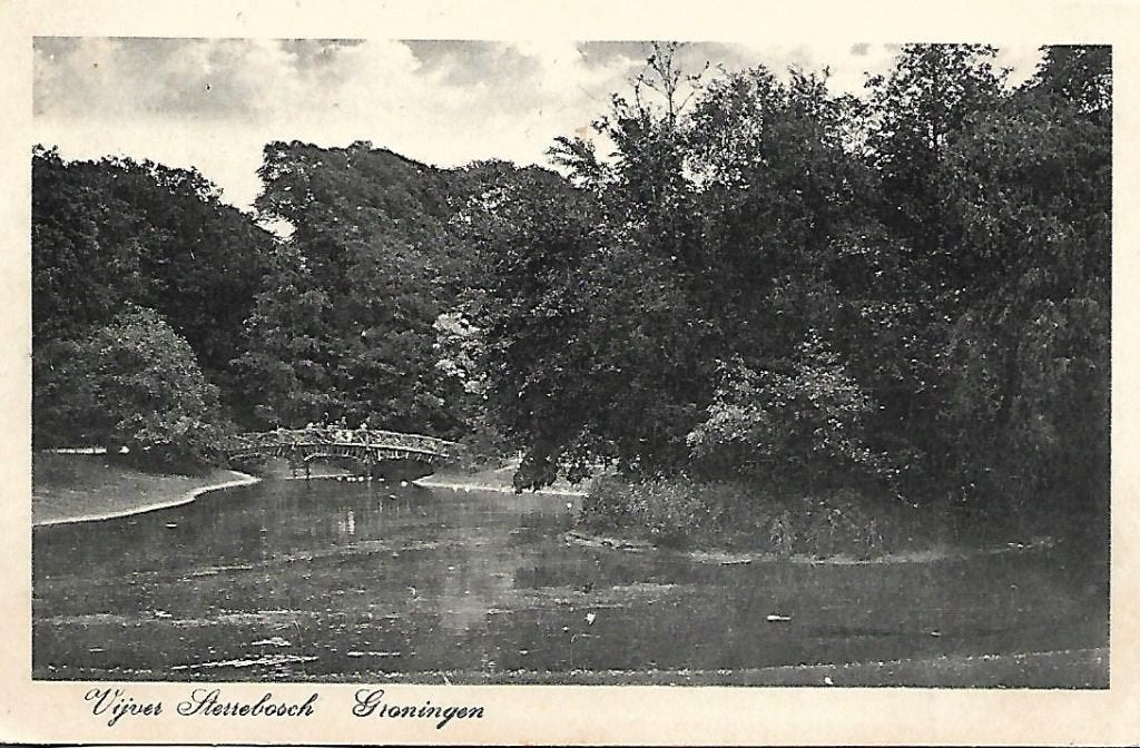Groningen- -Vijver Sterrebosch., Verzenden, Voor 1920, Gelopen, Groningen